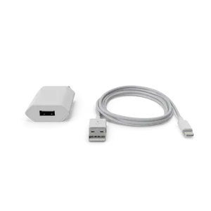 Apple iPhone Charger